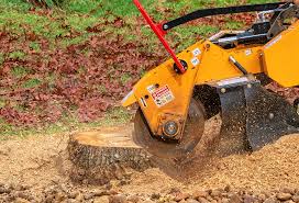 Lawn Pest Prevention in Amity Gardens, PA